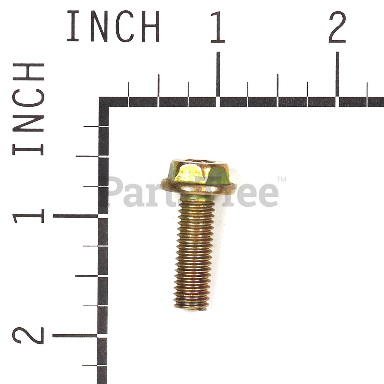BRP 809743 - Product Images (Slide 6 of 8)
