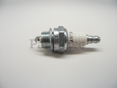 15901731730 - Spark Plug, RCJ6Y