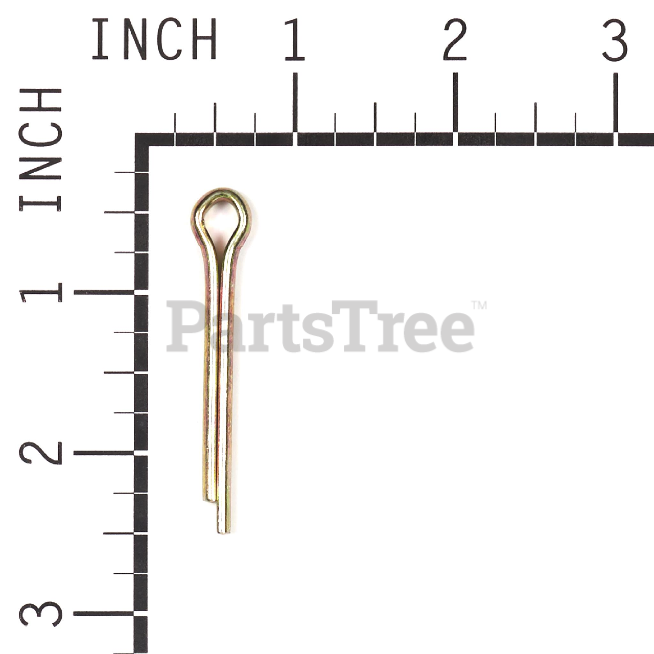 BRP 703983 - Product Images (Slide 6 of 6)