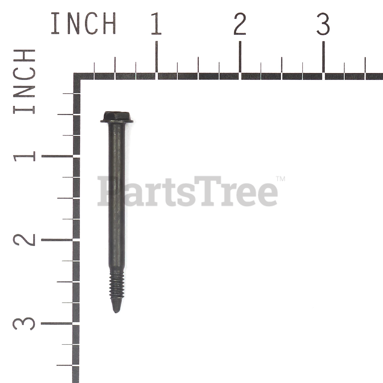 BRP 690244 - Product Images (Slide 2 of 4)