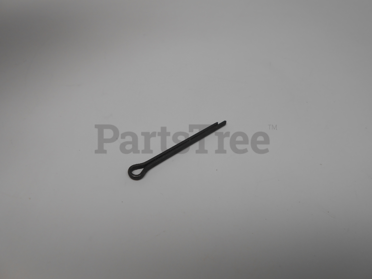 CUB 714-3004 - PRIMARY (Slide 1 of 1)