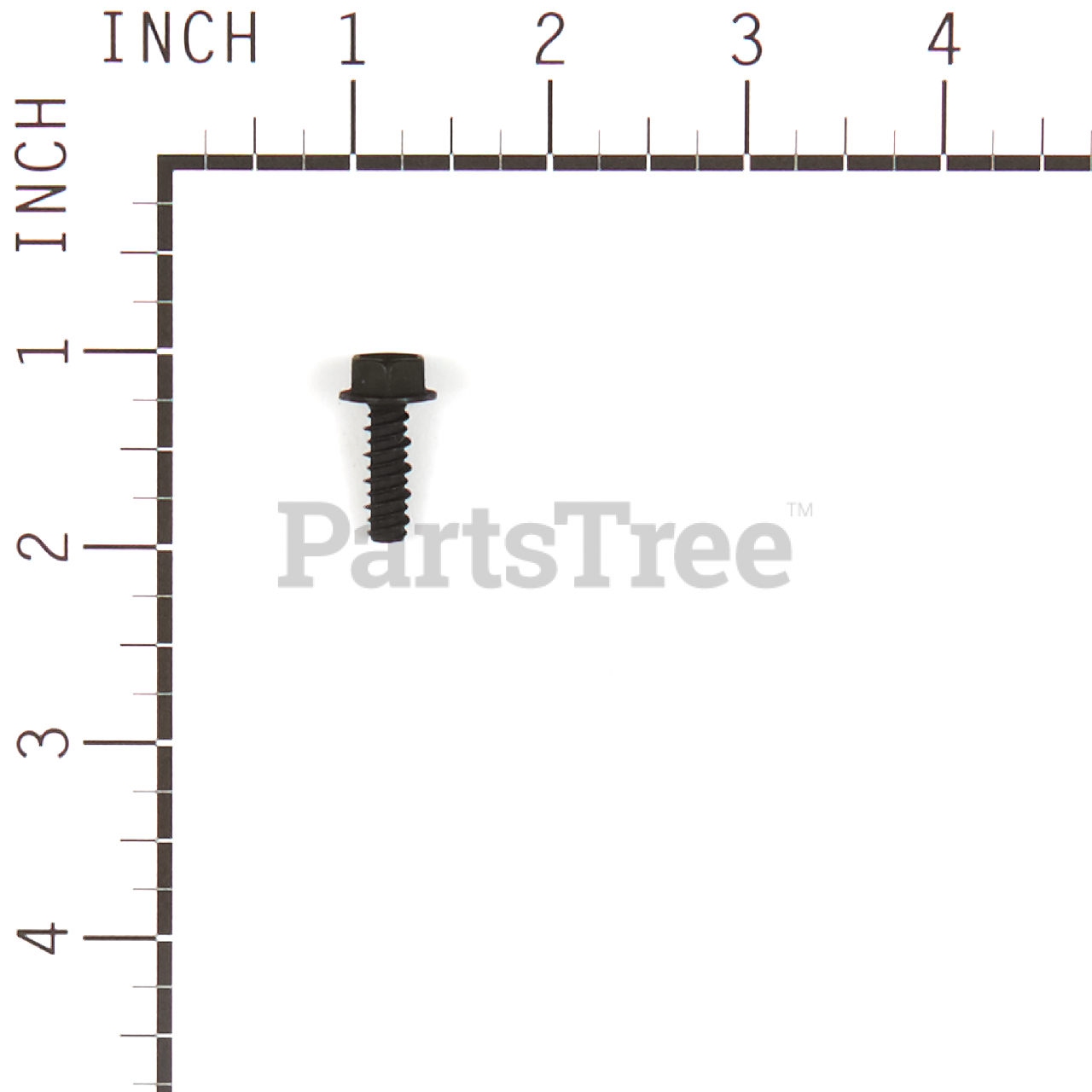 BRP 300303MA - Product Images (Slide 3 of 4)