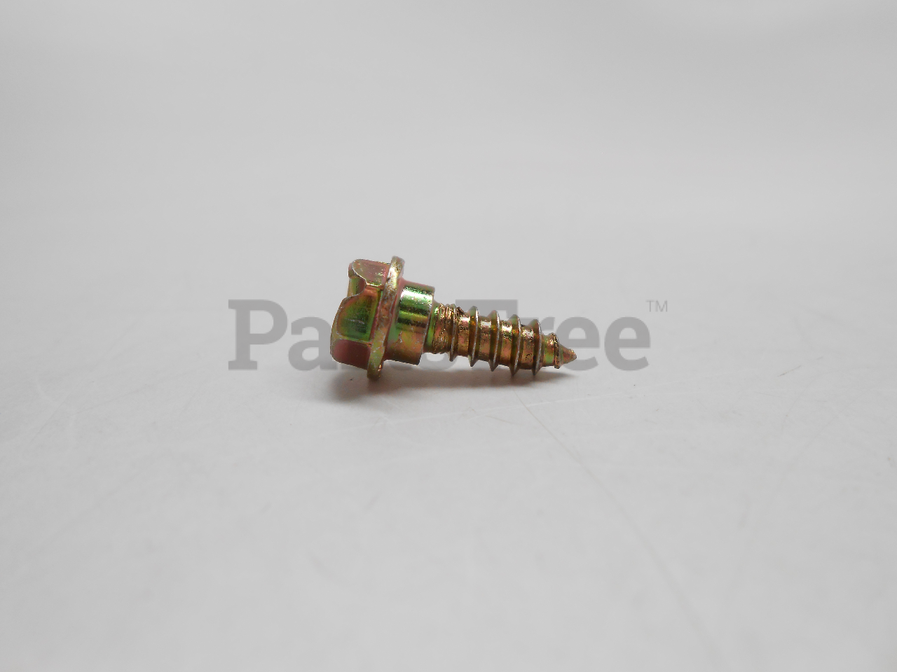 BRP 691002 - Primary (Slide 1 of 3)
