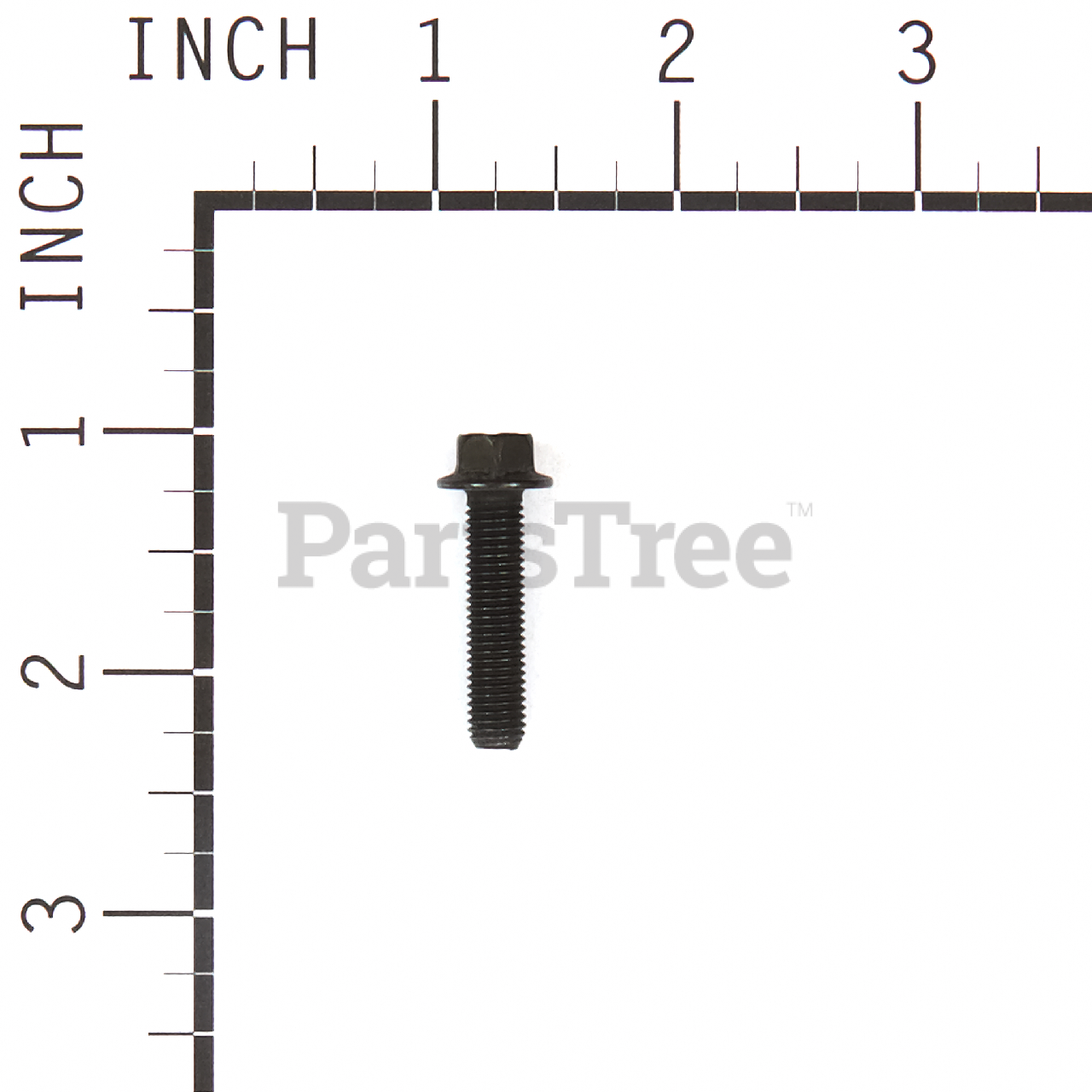 BRP 691664 - Product Images (Slide 3 of 4)