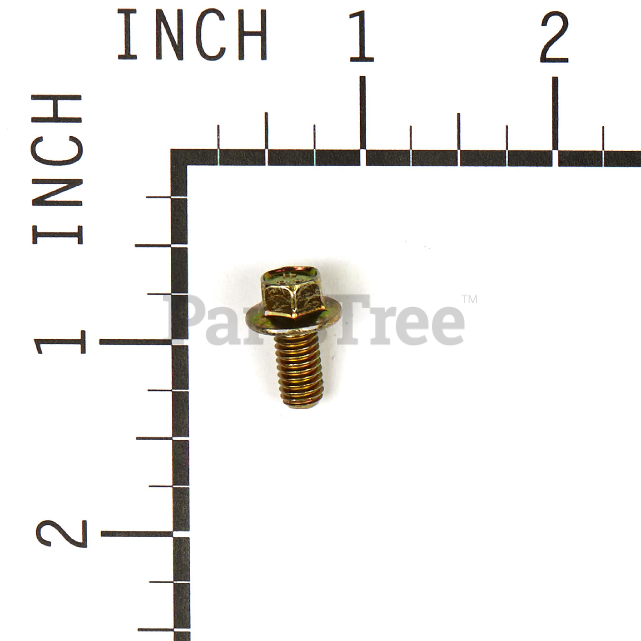 BRP 691593 - Product Images (Slide 2 of 4)